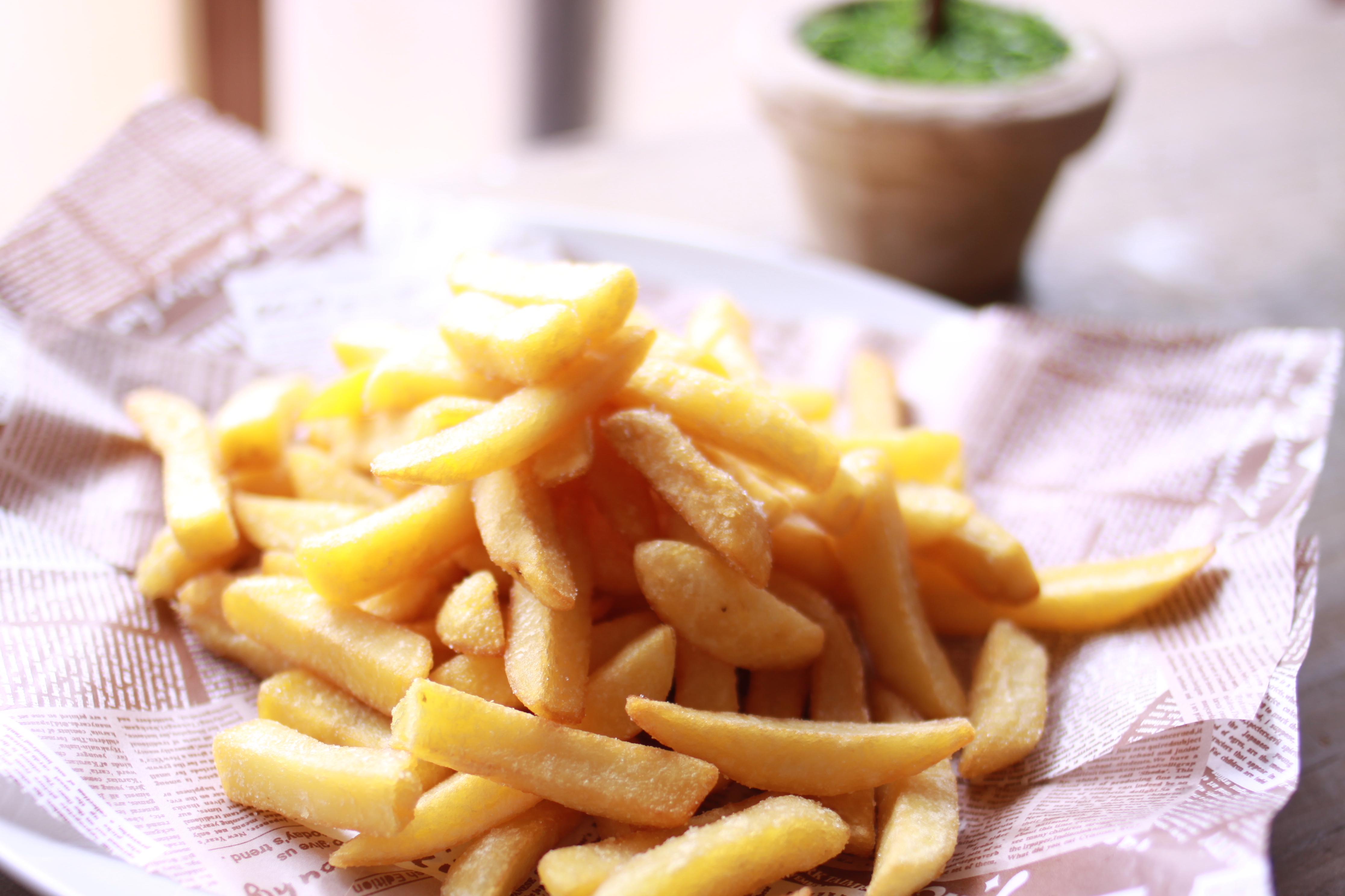 レインボーファーム